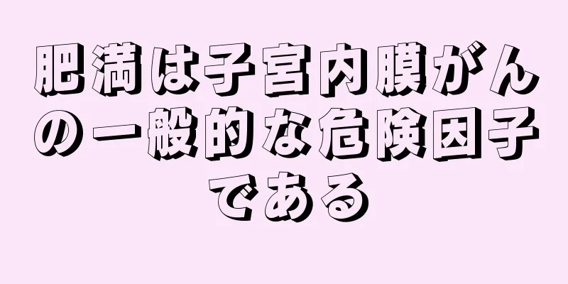 肥満は子宮内膜がんの一般的な危険因子である