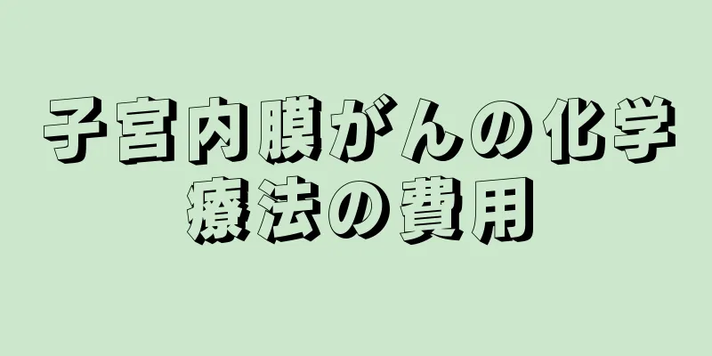 子宮内膜がんの化学療法の費用