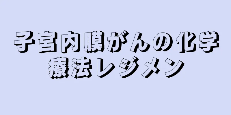 子宮内膜がんの化学療法レジメン