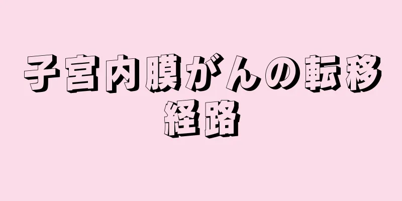 子宮内膜がんの転移経路