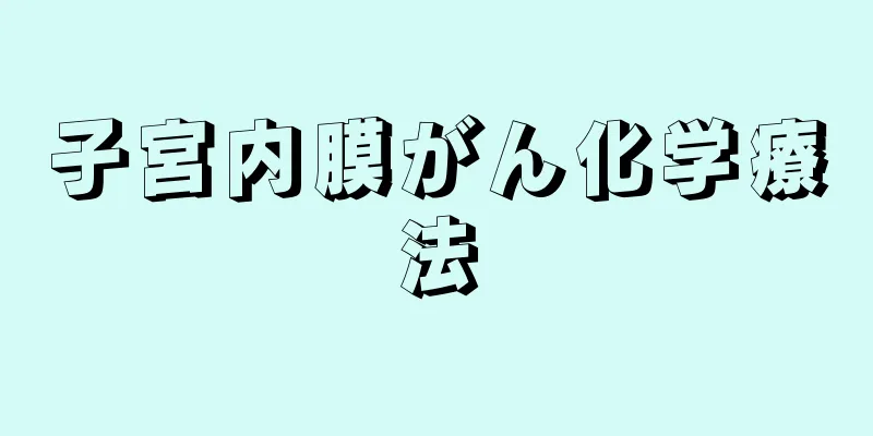 子宮内膜がん化学療法