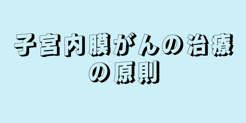 子宮内膜がんの治療の原則