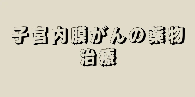 子宮内膜がんの薬物治療