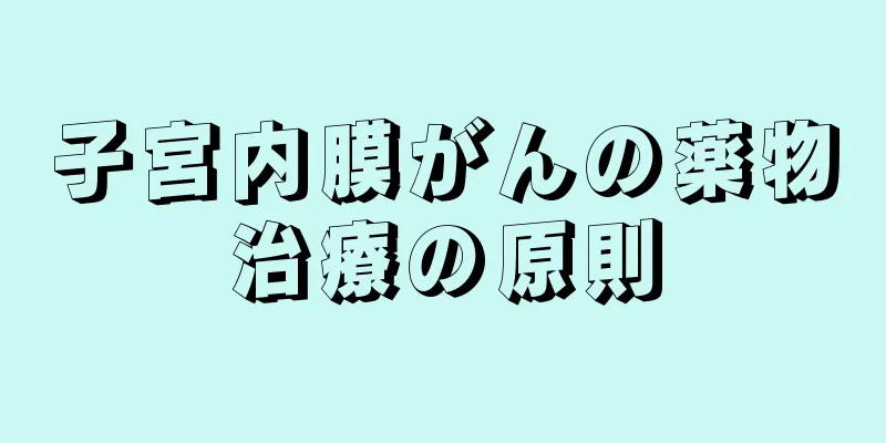 子宮内膜がんの薬物治療の原則