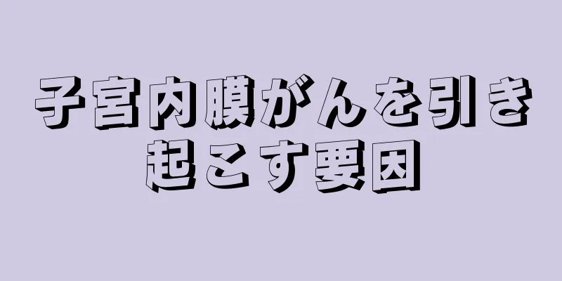 子宮内膜がんを引き起こす要因