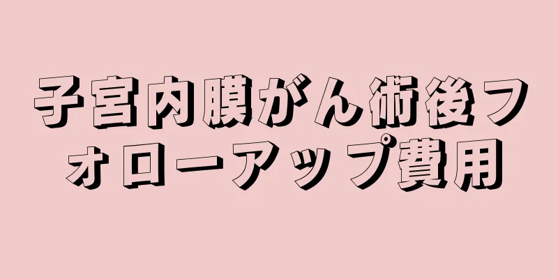 子宮内膜がん術後フォローアップ費用