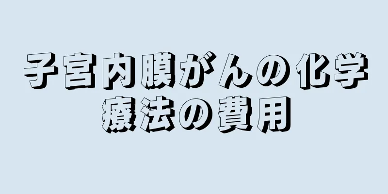 子宮内膜がんの化学療法の費用