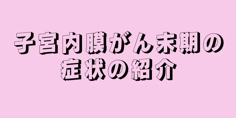 子宮内膜がん末期の症状の紹介