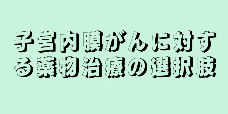 子宮内膜がんに対する薬物治療の選択肢