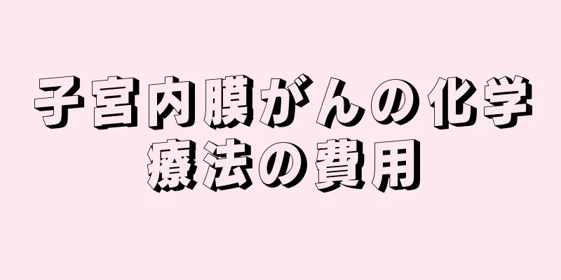 子宮内膜がんの化学療法の費用