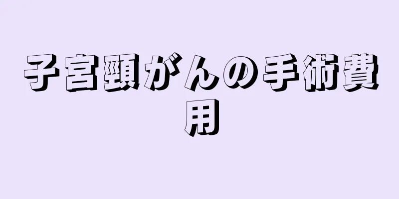 子宮頸がんの手術費用