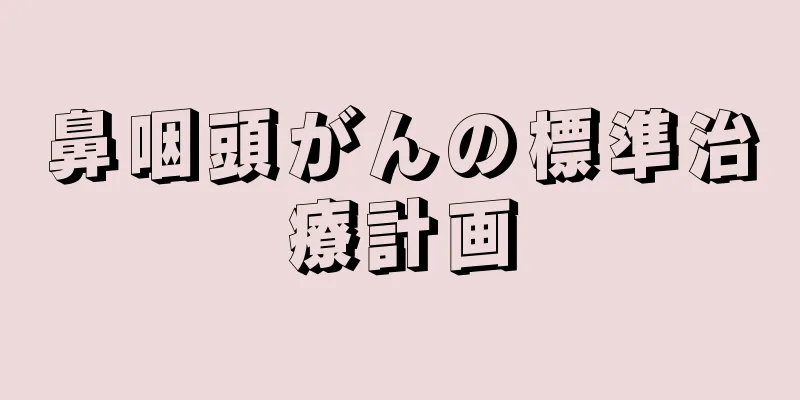 鼻咽頭がんの標準治療計画