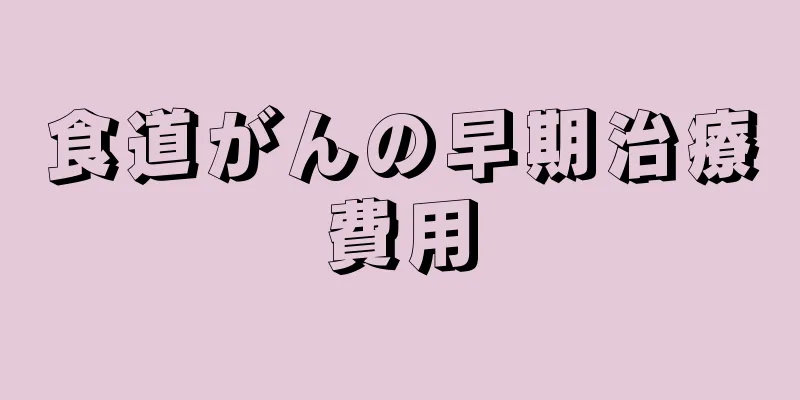 食道がんの早期治療費用