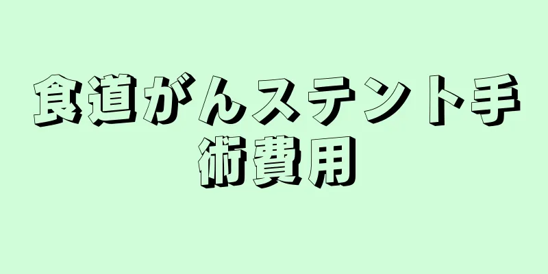 食道がんステント手術費用