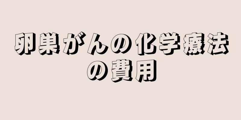 卵巣がんの化学療法の費用