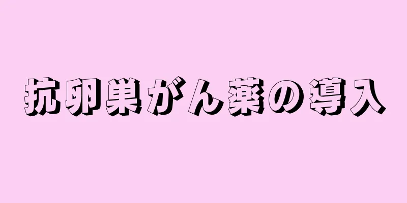 抗卵巣がん薬の導入