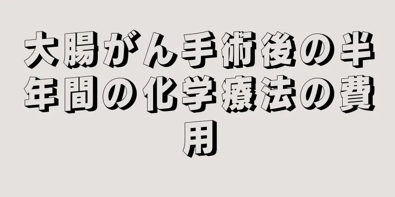 大腸がん手術後の半年間の化学療法の費用