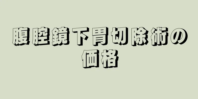 腹腔鏡下胃切除術の価格