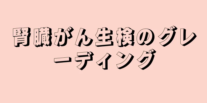 腎臓がん生検のグレーディング