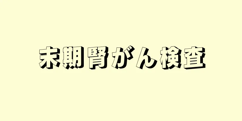 末期腎がん検査
