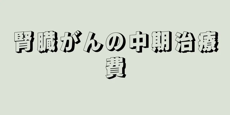 腎臓がんの中期治療費
