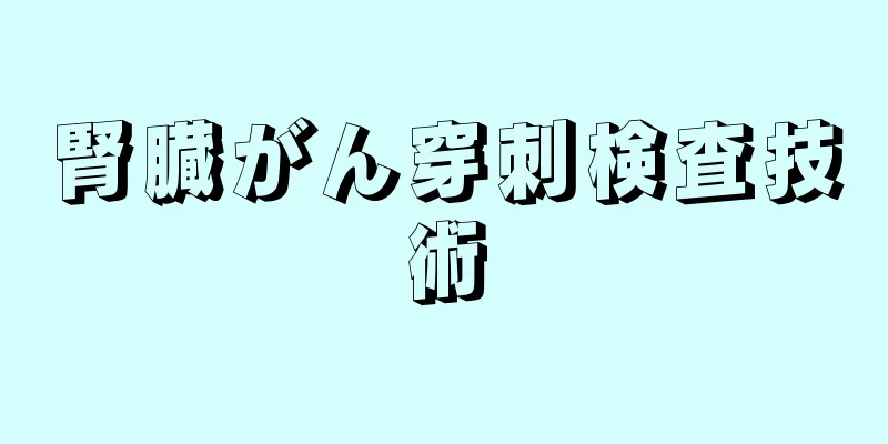 腎臓がん穿刺検査技術