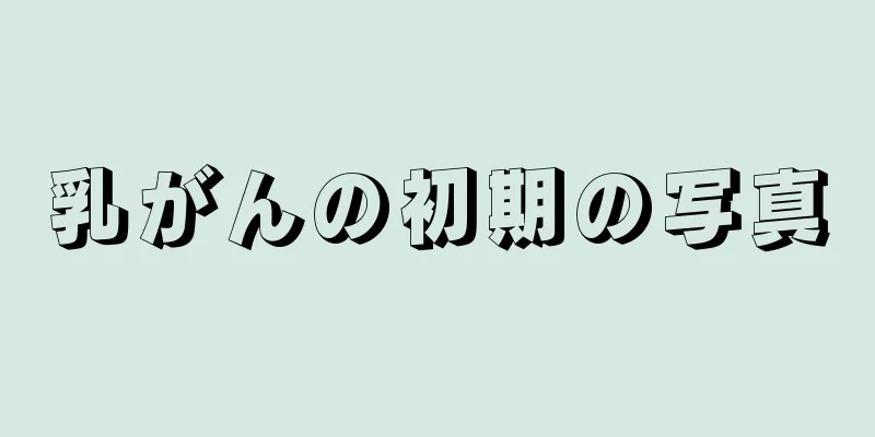 乳がんの初期の写真