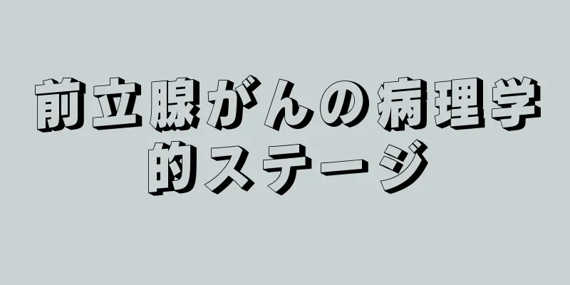 前立腺がんの病理学的ステージ
