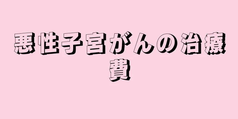 悪性子宮がんの治療費