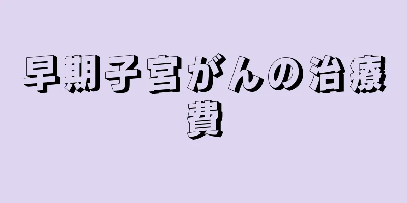 早期子宮がんの治療費