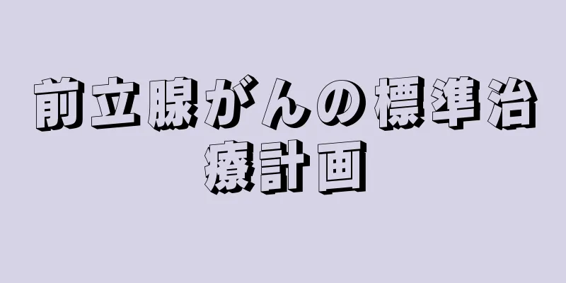 前立腺がんの標準治療計画