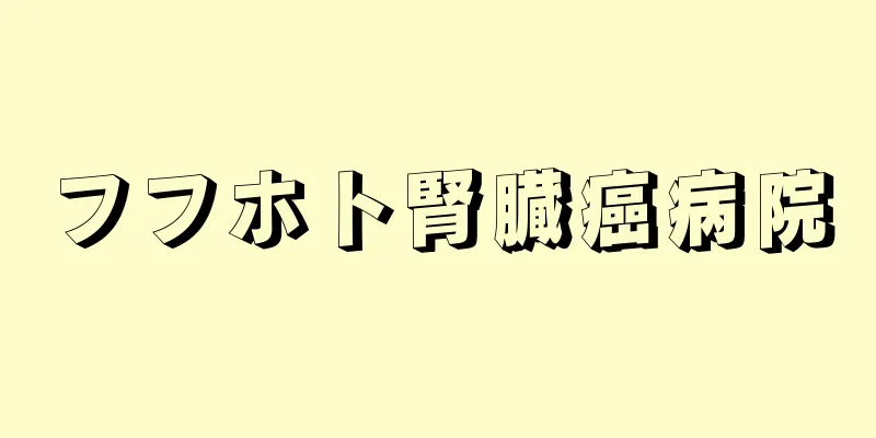 フフホト腎臓癌病院