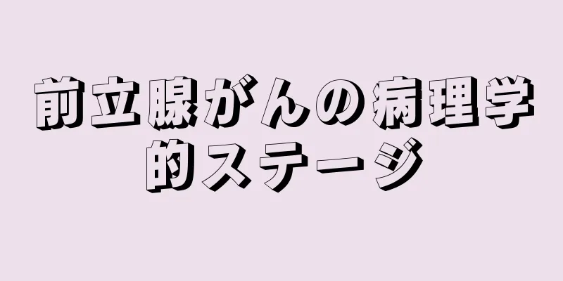 前立腺がんの病理学的ステージ