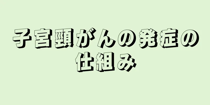 子宮頸がんの発症の仕組み