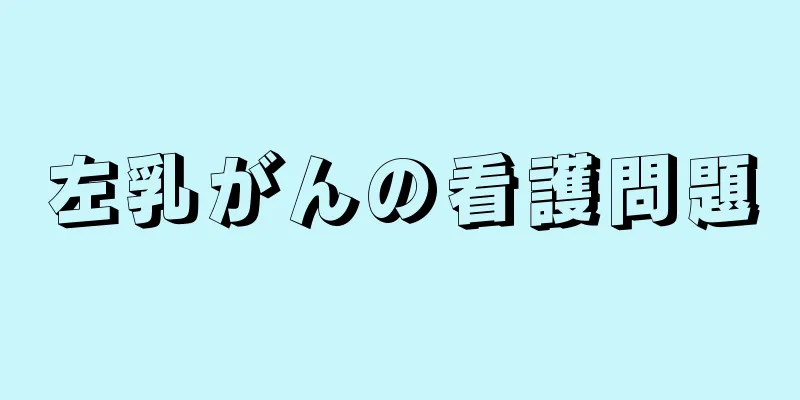 左乳がんの看護問題