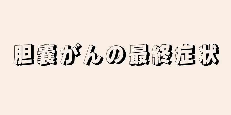 胆嚢がんの最終症状