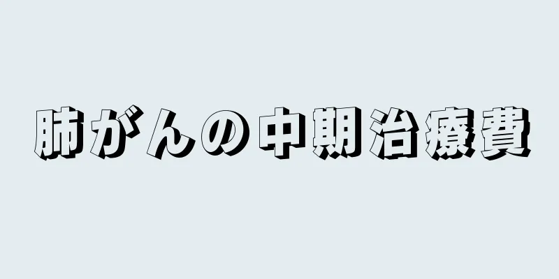 肺がんの中期治療費