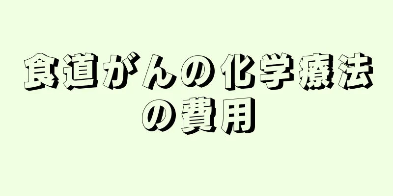 食道がんの化学療法の費用