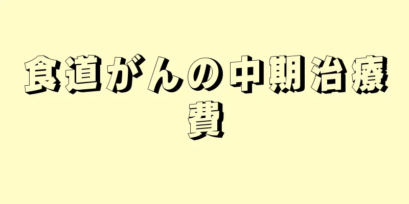 食道がんの中期治療費