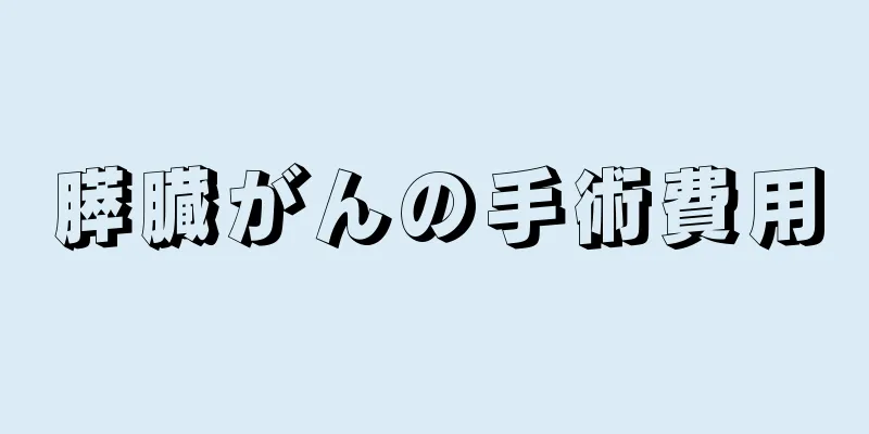 膵臓がんの手術費用