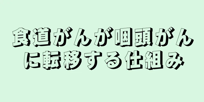 食道がんが咽頭がんに転移する仕組み