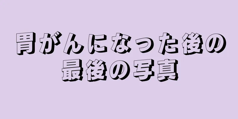 胃がんになった後の最後の写真