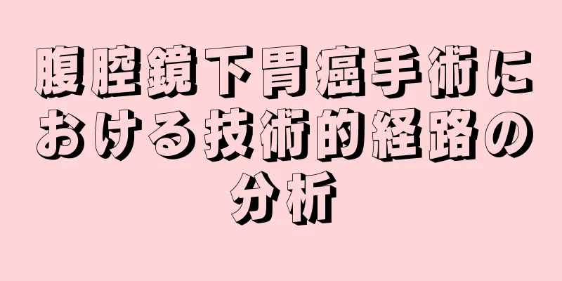 腹腔鏡下胃癌手術における技術的経路の分析