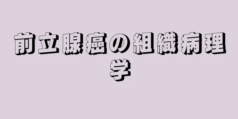 前立腺癌の組織病理学
