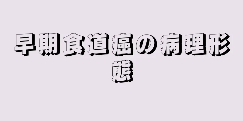 早期食道癌の病理形態