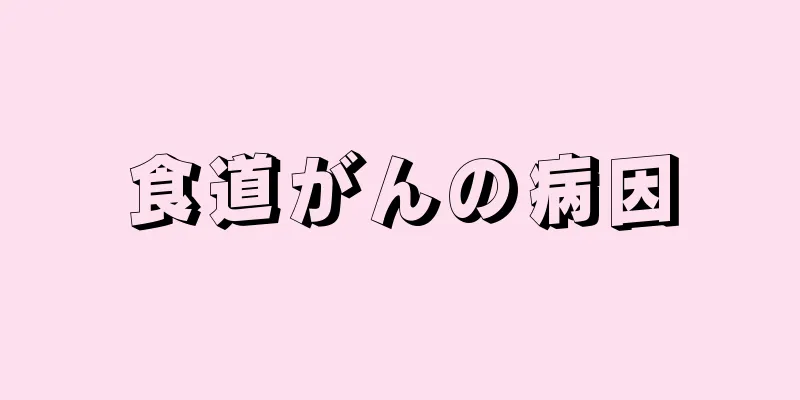 食道がんの病因