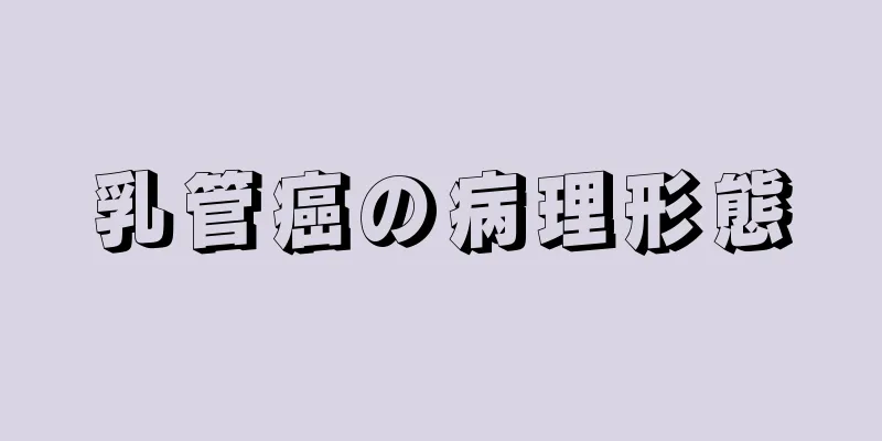 乳管癌の病理形態