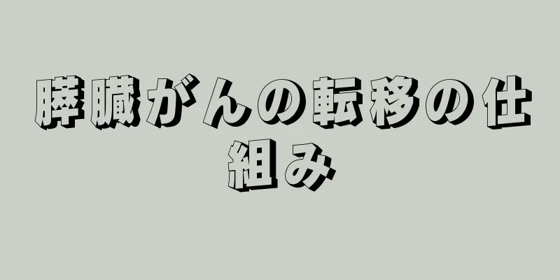 膵臓がんの転移の仕組み