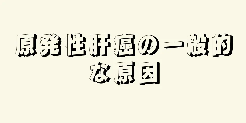 原発性肝癌の一般的な原因
