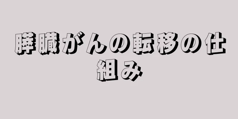 膵臓がんの転移の仕組み